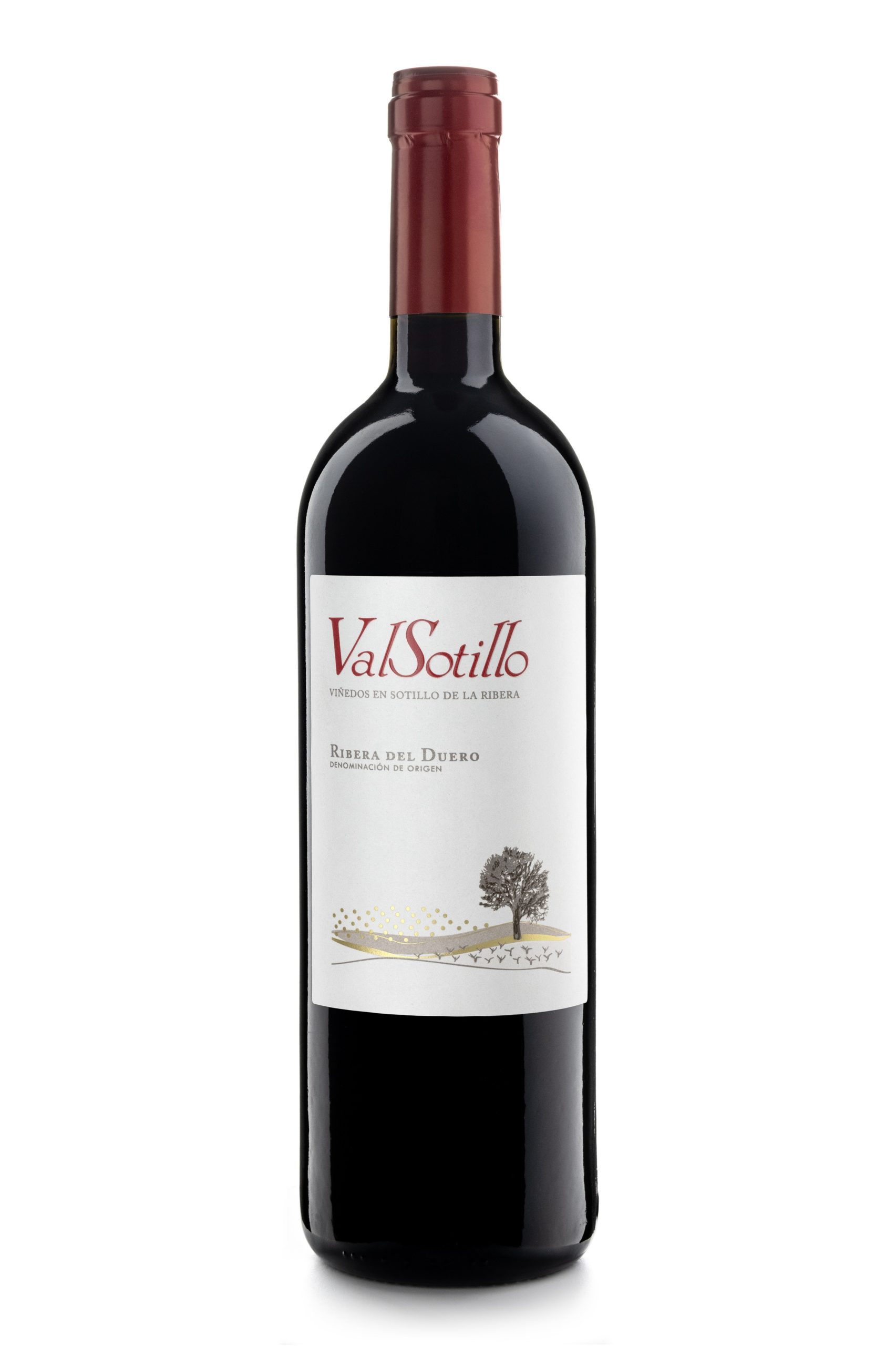 ValSotillo-Roble--scaled